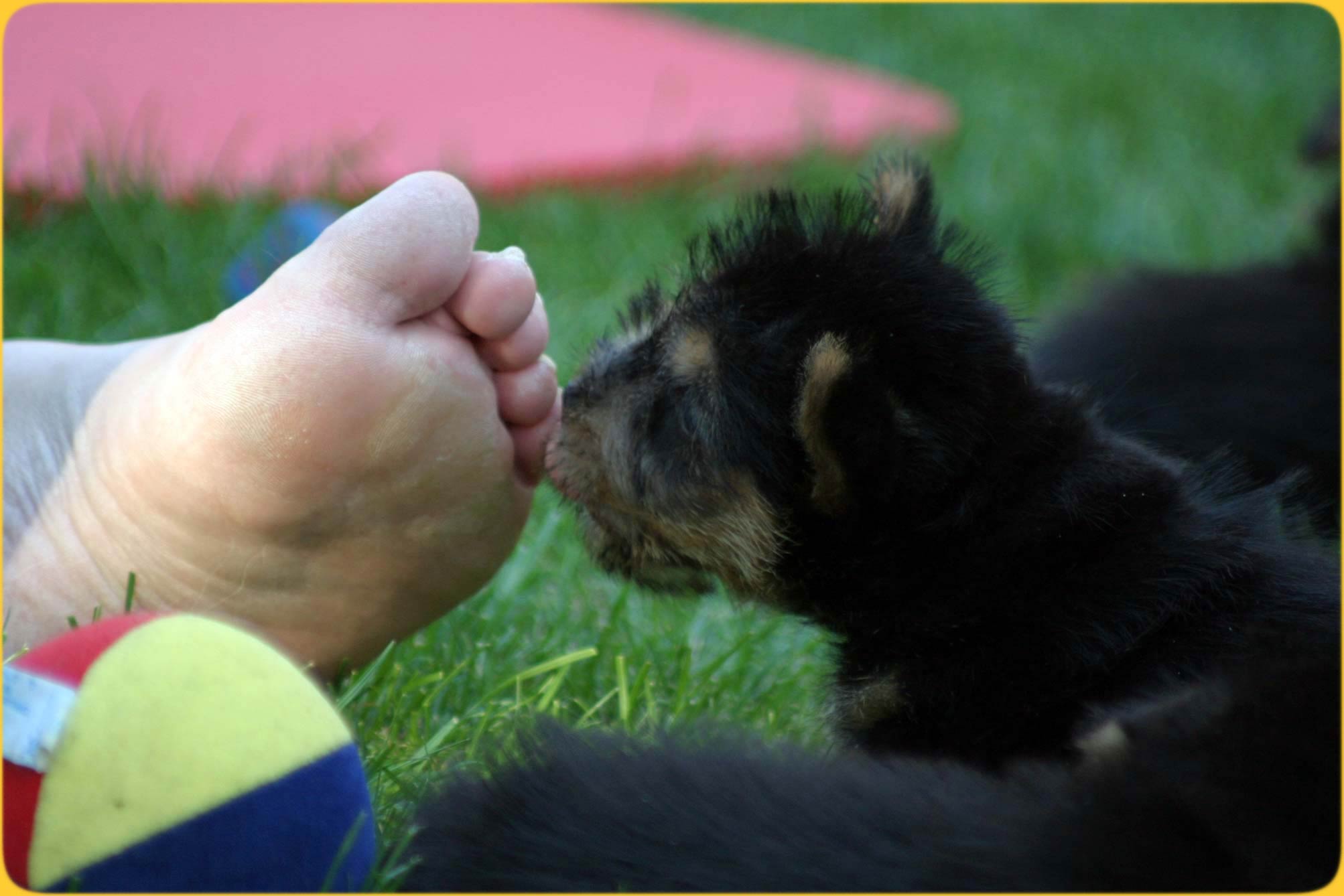 B&auml;rchen am kitzeln