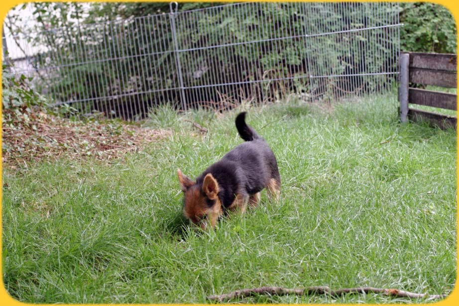 letzte Minuten bevor ich Wohlen verlasse