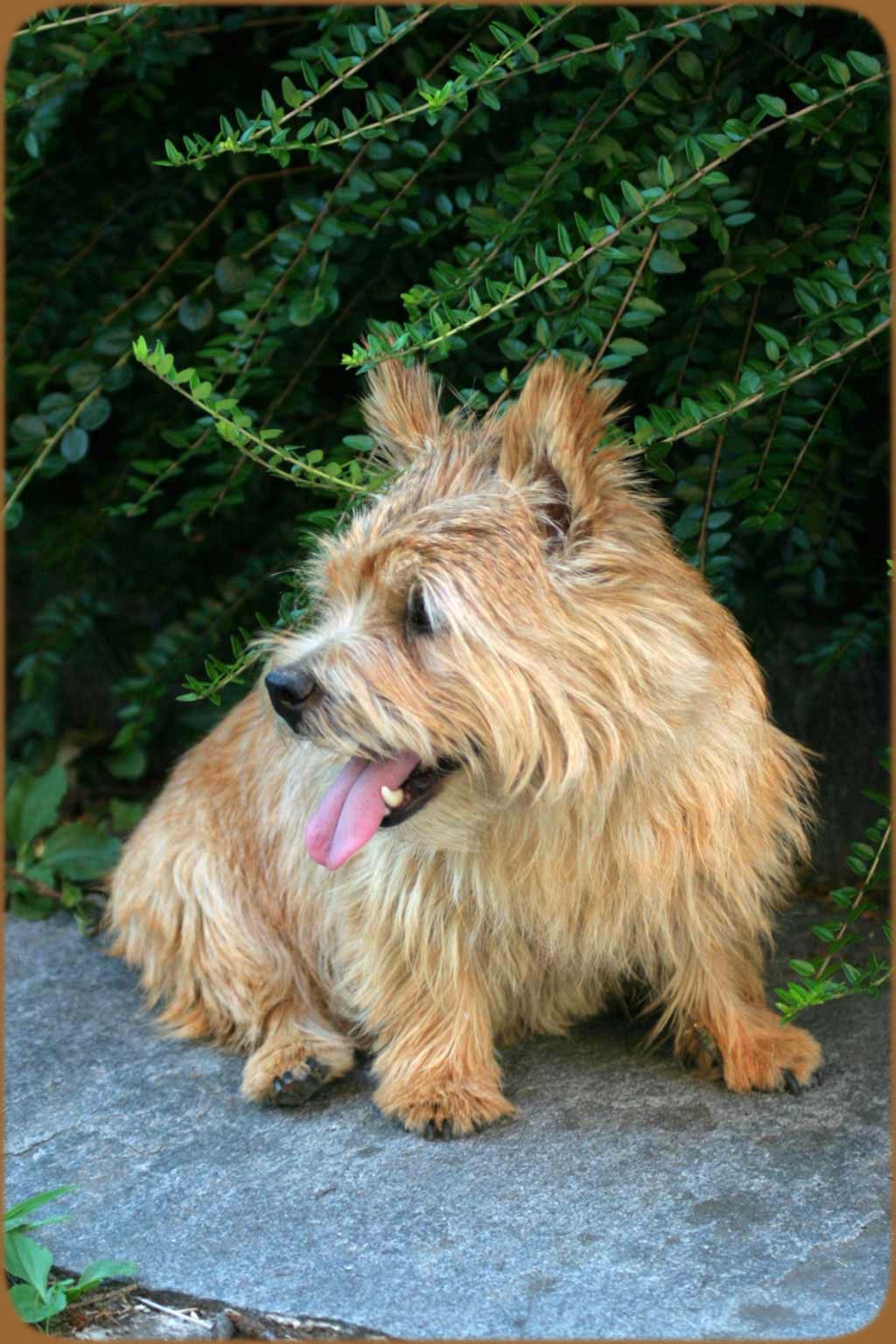 Urururgrosstante B&ouml;xli